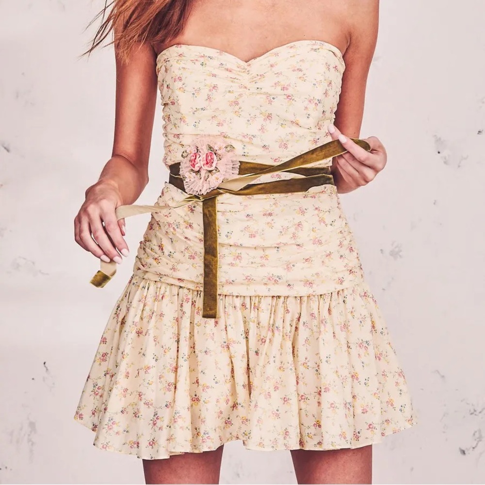 ISO LOVESHACKFANCY ELISE DRESS